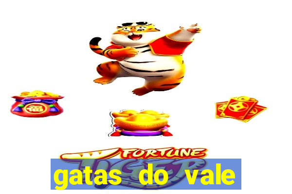 gatas do vale juazeiro bahia